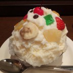 シロクマ