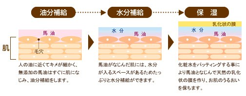 油分補給:人の油に近くてキメが細かく、無添加の馬油はすぐに肌になじみ、油分補給をします。→水分補給:馬油がなじんだ肌には、水分が入るスペースがあるためたっぷりと水分補給ができます。→保湿:化粧水をパッティングする事により馬油となじんで天然の乳化状の膜を作り、お肌の潤いを保ちます。 油分補給:人の油に近くてキメが細かく、無添加の馬油はすぐに肌になじみ、油分補給をします。→水分補給:馬油がなじんだ肌には、水分が入るスペースがあるためたっぷりと水分補給ができます。→保湿:化粧水をパッティングする事により馬油となじんで天然の乳化状の膜を作り、お肌の潤いを保ちます。