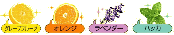 グレープフルーツ/オレンジ/ラベンダー/ハッカ グレープフルーツ/オレンジ/ラベンダー/ハッカ