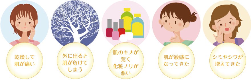 乾燥して肌が痛い 外に出ると肌が負けてしまう 肌のきめが荒く化粧ノリが悪い 肌が敏感になってきた シミやシワが増えてきた 乾燥して肌が痛い 外に出ると肌が負けてしまう 肌のきめが荒く化粧ノリが悪い 肌が敏感になってきた シミやシワが増えてきた
